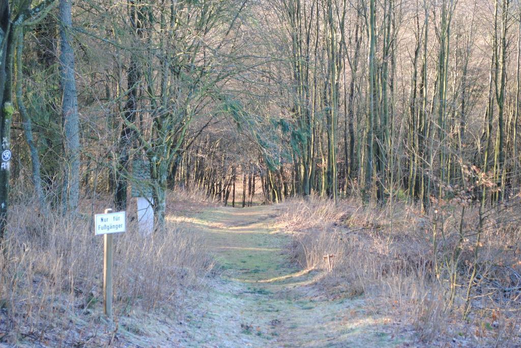 Vakantiehuis Ramsbeck エクステリア 写真